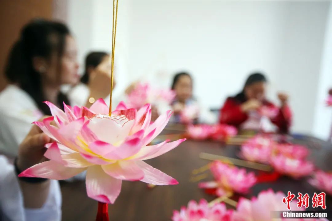 Fleur de Lotus: Tout Sur la Signification et la Symbolique