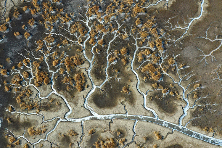 欧洲时报–欧时网-欧时大参-中国辽宁盘锦辽河口湿地瞰"冰脉"