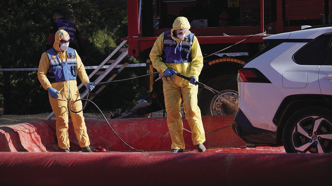 西班牙发现更多非洲猪瘟病例