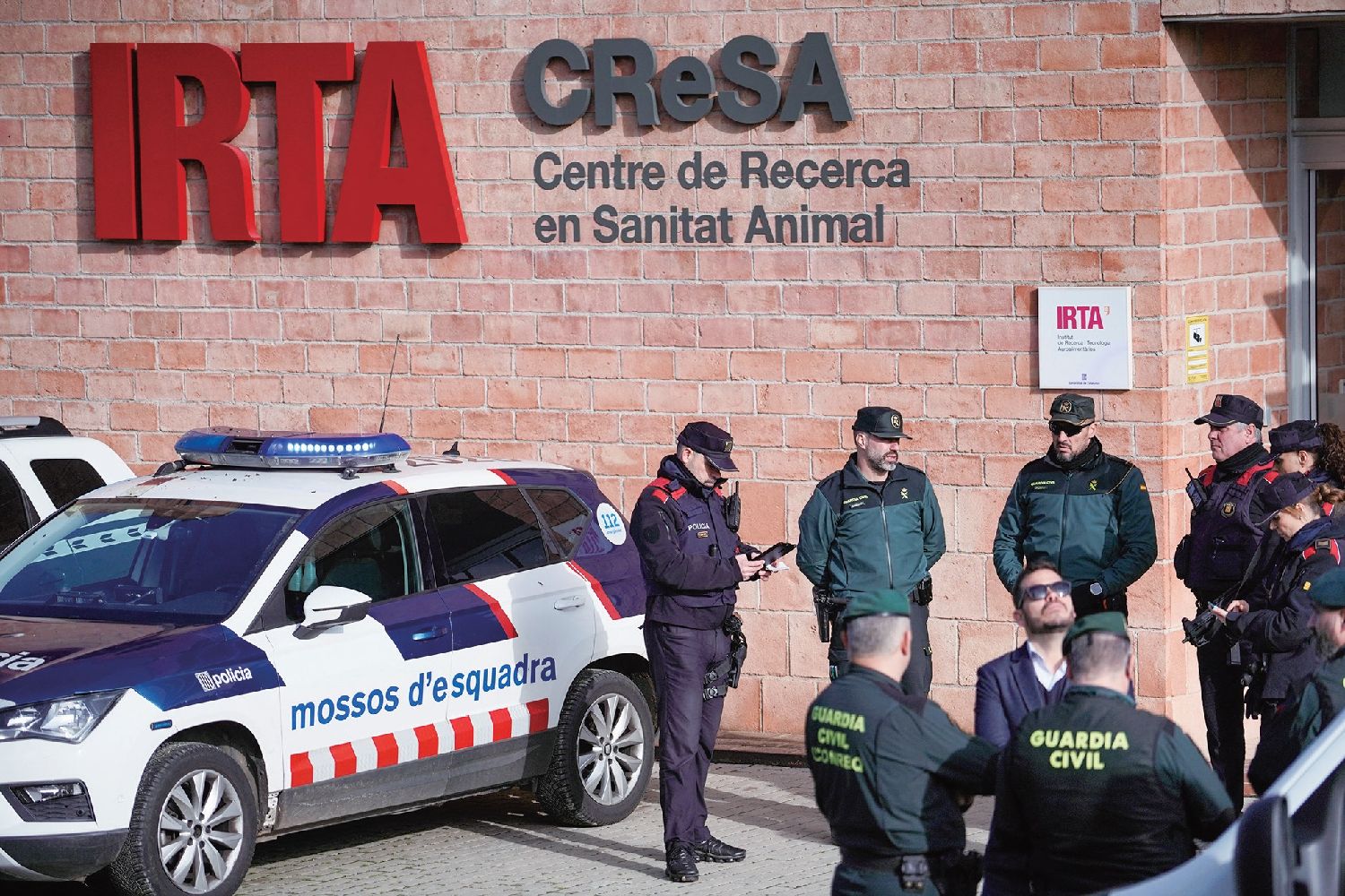 西班牙调查非洲猪瘟疫情起源