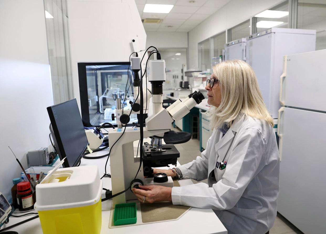 意大利由女性领导企业占比超两成，平均规模偏小