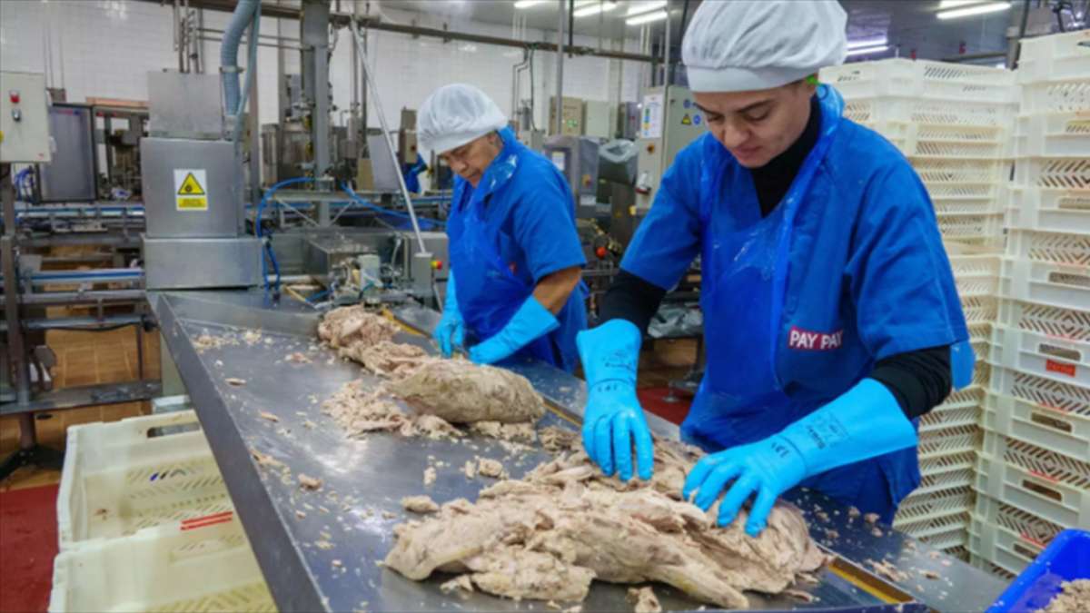 中国金枪鱼成香饽饽？！欧盟免税配额被西班牙抢空只用4天